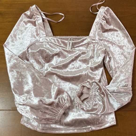 Anthropologie Tops - Anthropologie long sleeve Velvet Top Champagne Pink XS